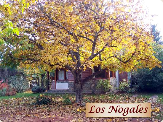 Cabañas Los Nogales - Lago Puelo
